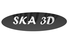 Ska 3d logo